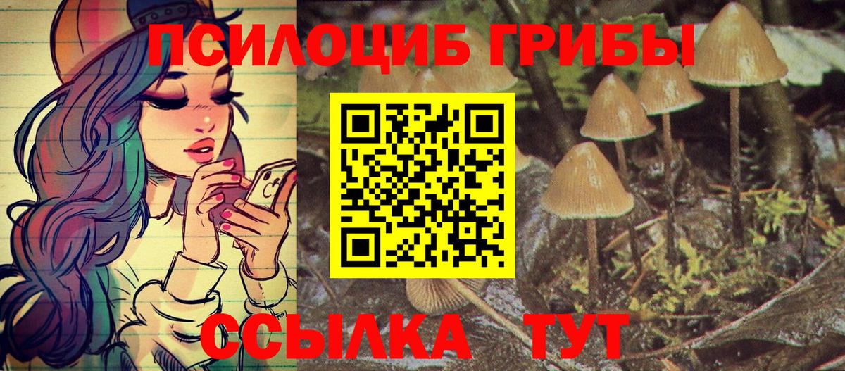 Псилоцибиновые грибы мицелий  Псилоцибиновые грибы Psilocybine cubensis  Мичуринск  Вход с VPN 